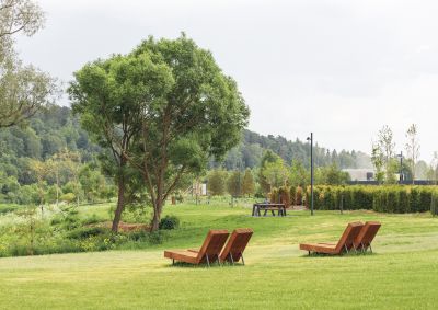 photo 68d25f35d8187_thumb.jpg