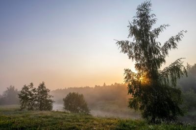 photo 68d25f435f25c_thumb.jpg