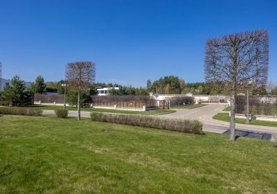 photo 68d262c744033_thumb.jpg