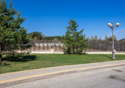 photo 68d262c7dc820_thumb.jpg