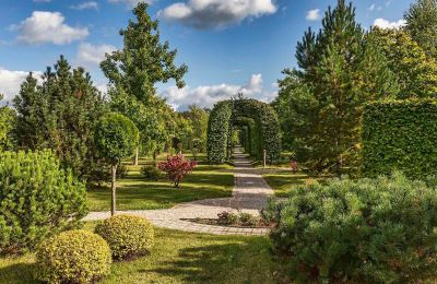 photo 68d262d08db90_thumb.jpg