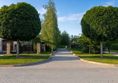 photo 68d2728f2b53c_thumb.jpg