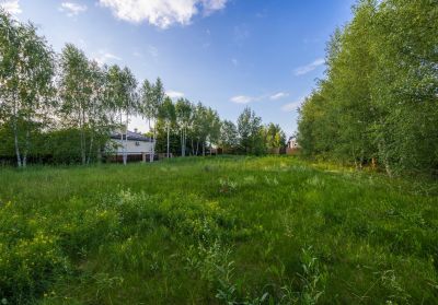 photo 68d2728fccc95_thumb.jpg