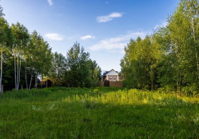 photo 68d2729772cc3_thumb.jpg