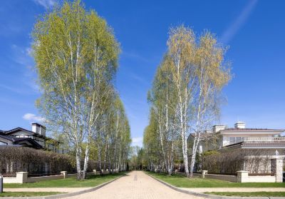 photo 68d2798cc18e7_thumb.jpg