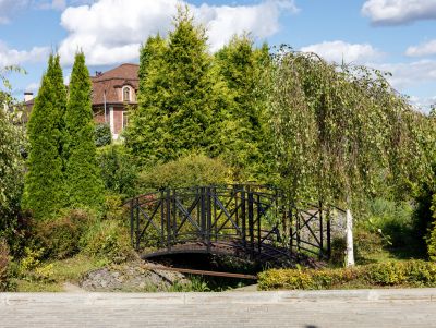 photo 68d281bcc14c9_thumb.jpg