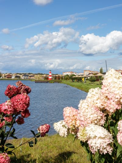 photo 68d281c4bed09_thumb.jpg