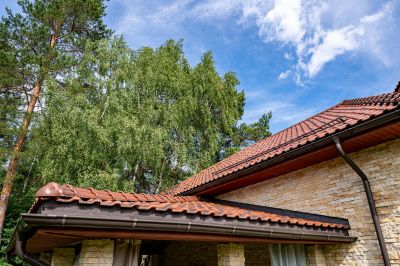 photo 68d28a1929ef6_thumb.jpg