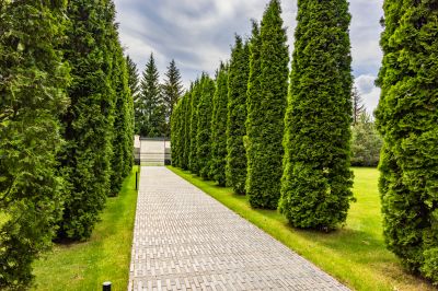 photo 68d3a8ee98622_thumb.jpg