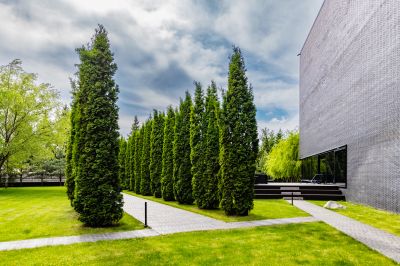 photo 68d3a8ef8f5ff_thumb.jpg