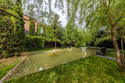 photo 68d3a8f164a8d_thumb.jpg