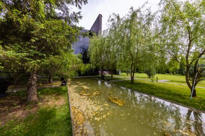 photo 68d3a8f269dc9_thumb.jpg