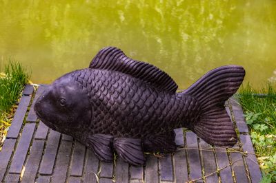 photo 68d3a8f36524d_thumb.jpg