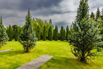 photo 68d3a90d3f4c6_thumb.jpg