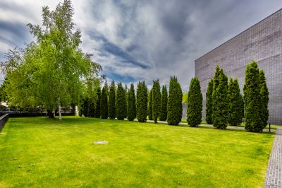 photo 68d3a911bfe7c_thumb.jpg