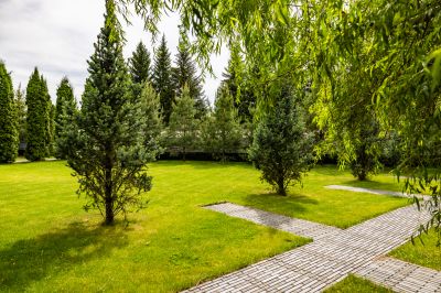 photo 68d3a914988e2_thumb.jpg