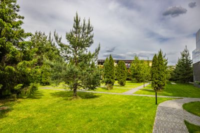 photo 68d3a9158b1b3_thumb.jpg