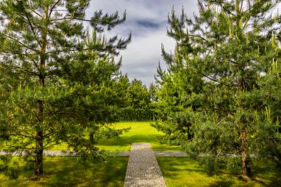 photo 68d3a91788141_thumb.jpg