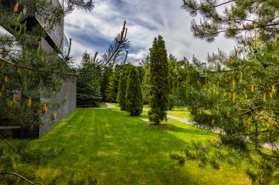 photo 68d3a9188742b_thumb.jpg