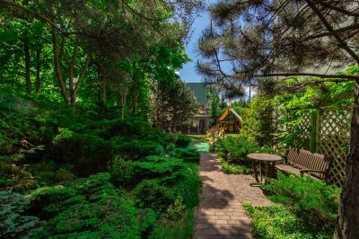 photo 68d64dafde06e_thumb.jpg