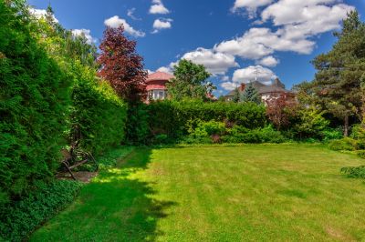 photo 68d64dc054397_thumb.jpg