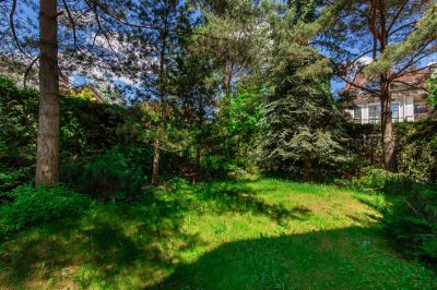 photo 68d64dc505866_thumb.jpg