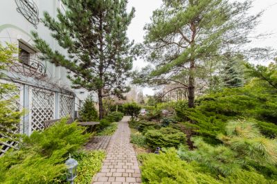 photo 68d64dd6d7a46_thumb.jpg