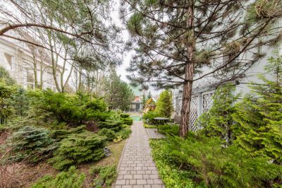 photo 68d64dd74ceb2_thumb.jpg