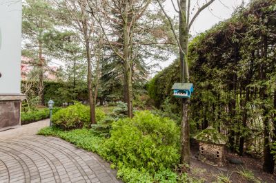 photo 68d64de8f3621_thumb.jpg