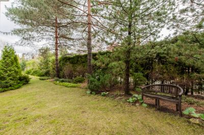 photo 68d64de9661b3_thumb.jpg