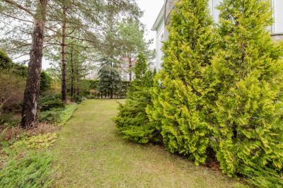 photo 68d64dea1abf9_thumb.jpg