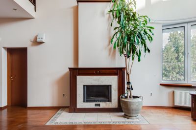 photo 68d64deb91e19_thumb.jpg