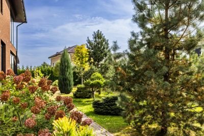 photo 68d6531b3c084_thumb.jpg