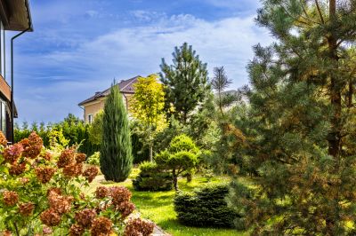 photo 68d6531bbbd36_thumb.jpg