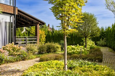 photo 68d6531cc8c55_thumb.jpg