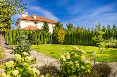 photo 68d6531d51ceb_thumb.jpg