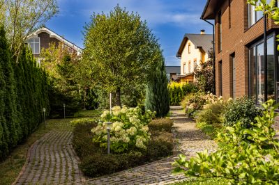 photo 68d6531e6cf8d_thumb.jpg