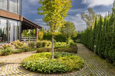 photo 68d6532f721b5_thumb.jpg