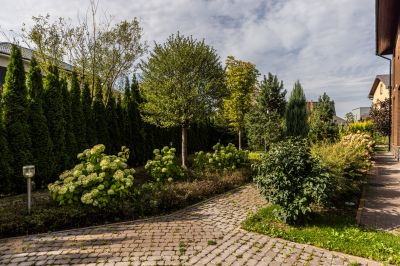 photo 68d65331051db_thumb.jpg