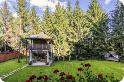 photo 68fa3f609107e_thumb.jpg