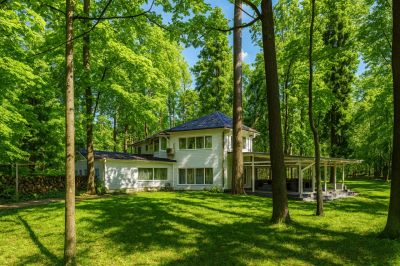 photo 68d3d947b9183_thumb.jpg