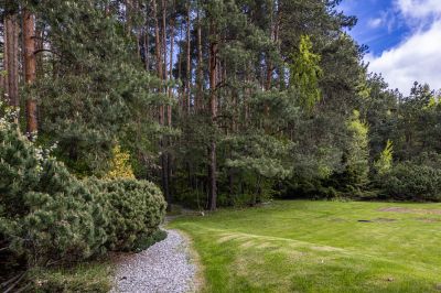 photo 68d40202918c9_thumb.jpg