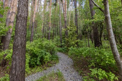 photo 68d402037f92f_thumb.jpg