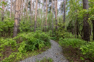 photo 68d402047b91a_thumb.jpg