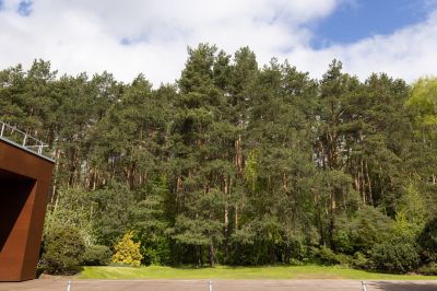 photo 68d402206011f_thumb.jpg