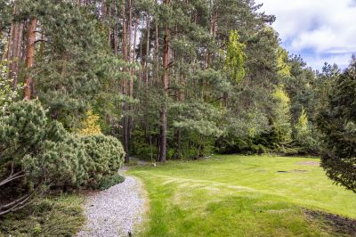 photo 68d40241dc09a_thumb.jpg