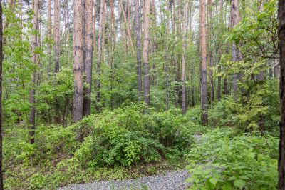 photo 68d40245b8caf_thumb.jpg