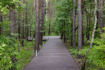 photo 68d4025e3ce68_thumb.jpg