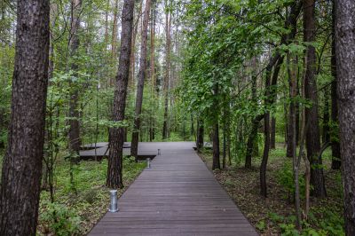 photo 68d4026453e44_thumb.jpg