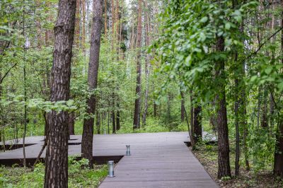 photo 68d402653dcd7_thumb.jpg